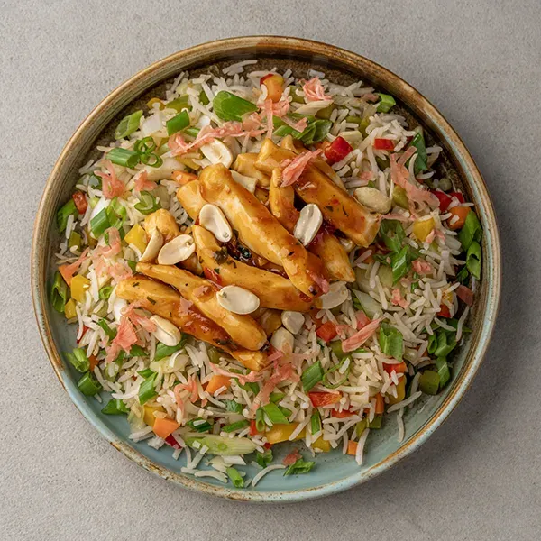 Teppanyaki Chicken with Picked Ginger &  Scallion Rice