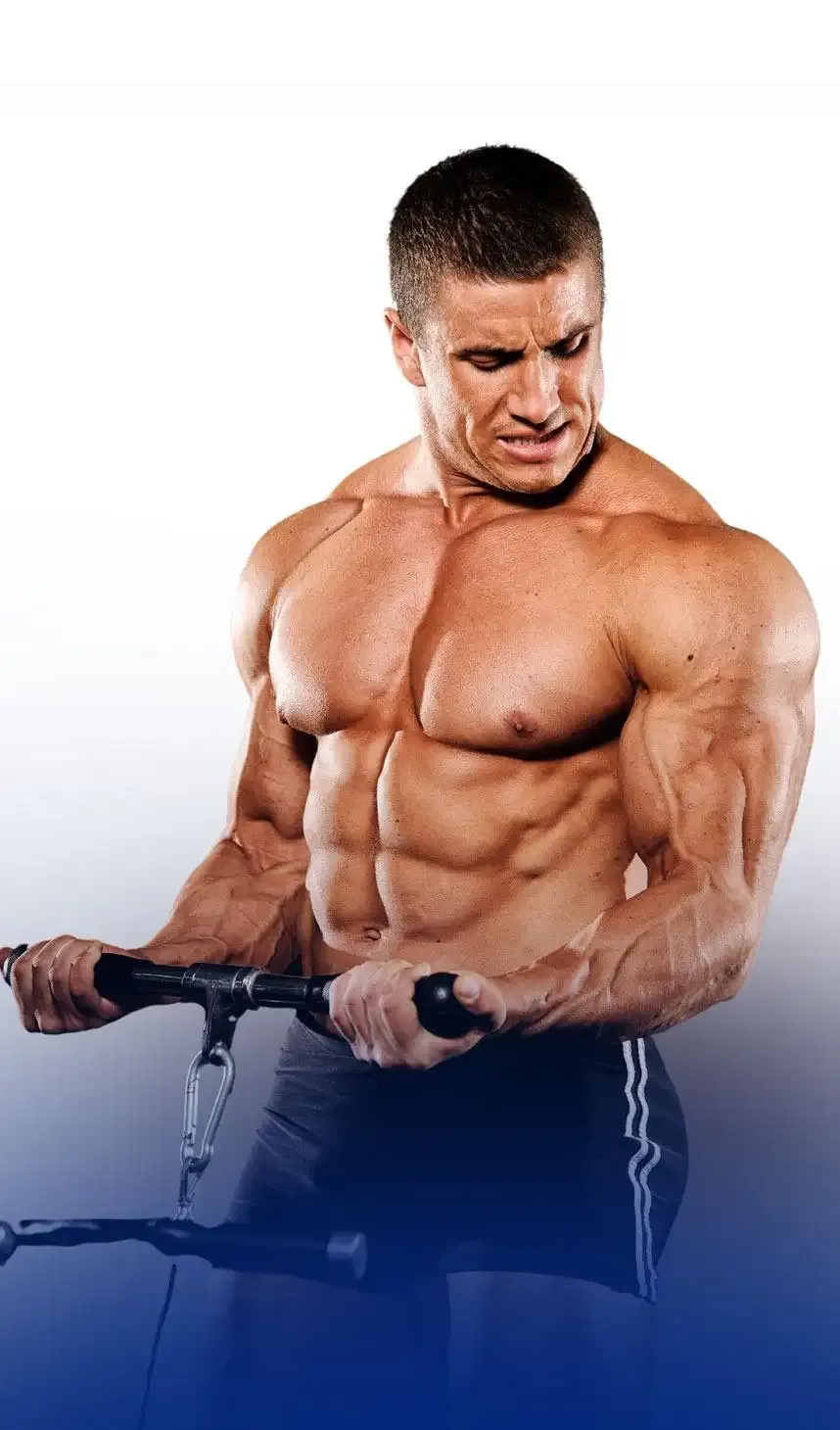High Protein